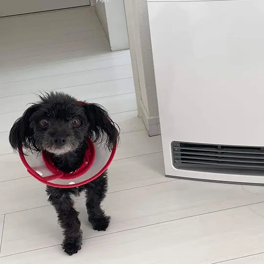 子供もペットも速暖快適